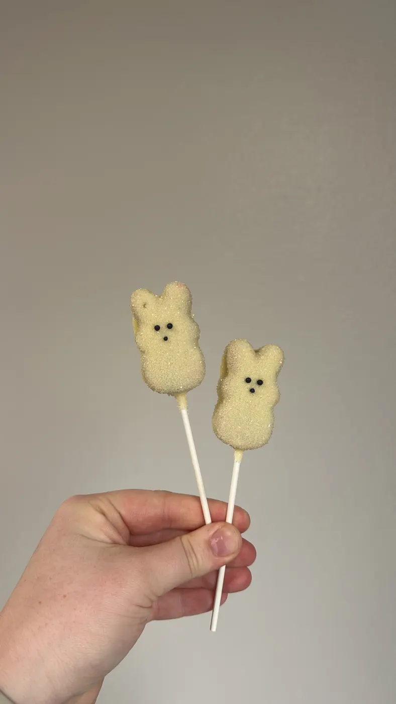 Custom Cake Pop example 19 from The Sweet Spot Cake Pops