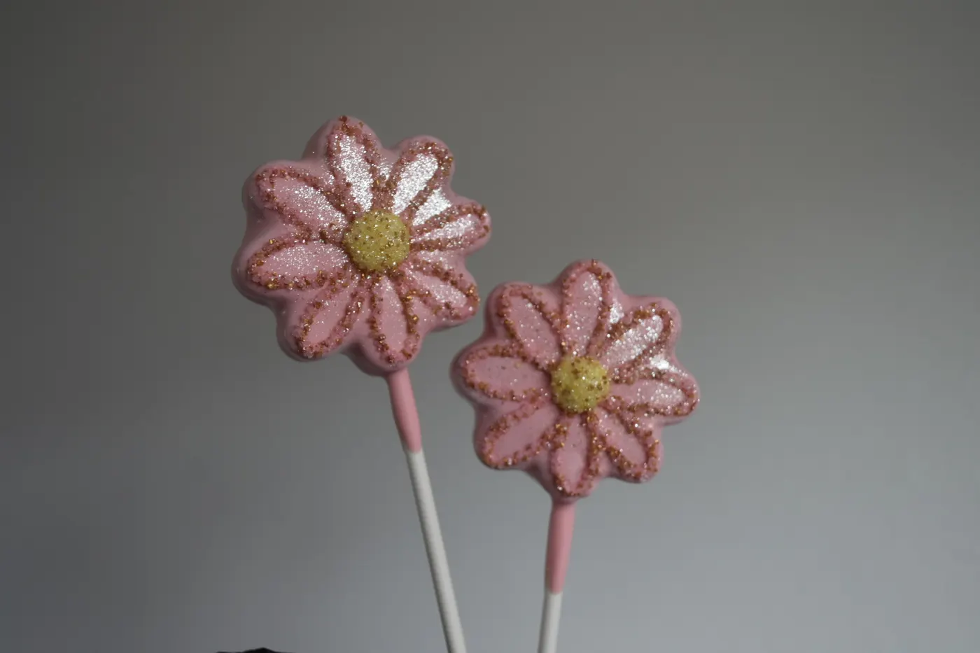Custom Cake Pop example 45 from The Sweet Spot Cake Pops