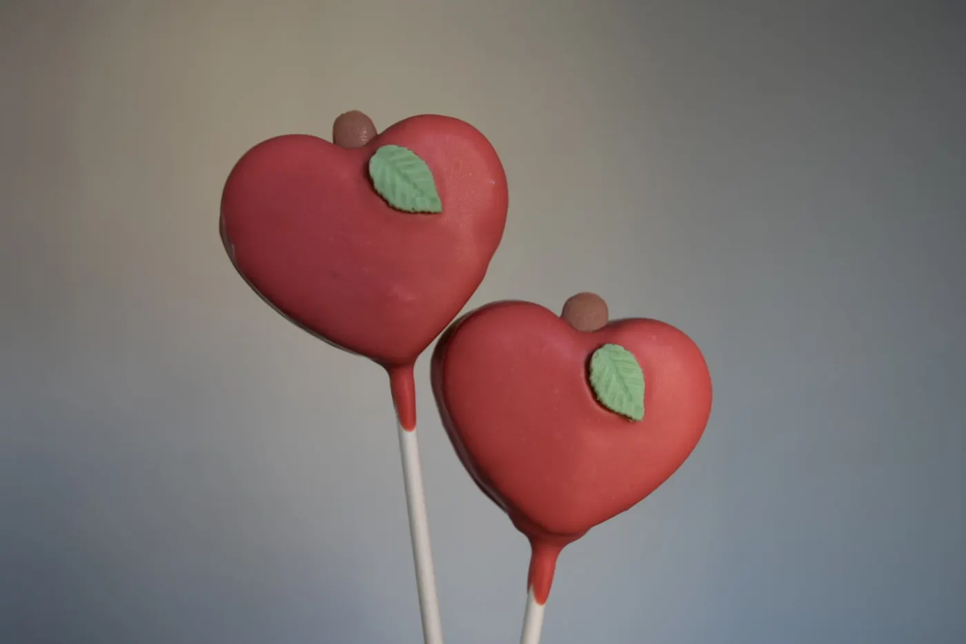 Custom Cake Pop example 74 from The Sweet Spot Cake Pops