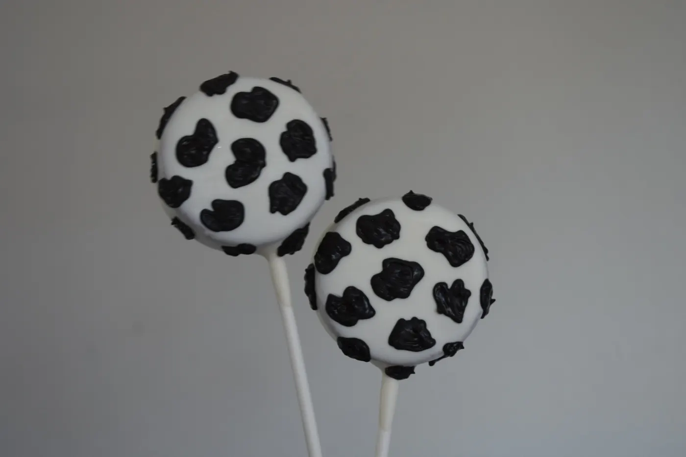 Custom Cake Pop example 91 from The Sweet Spot Cake Pops
