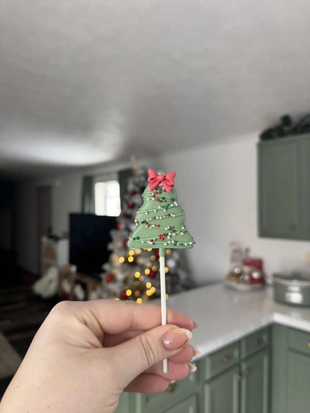 Custom Cake Pop example 119 from The Sweet Spot Cake Pops
