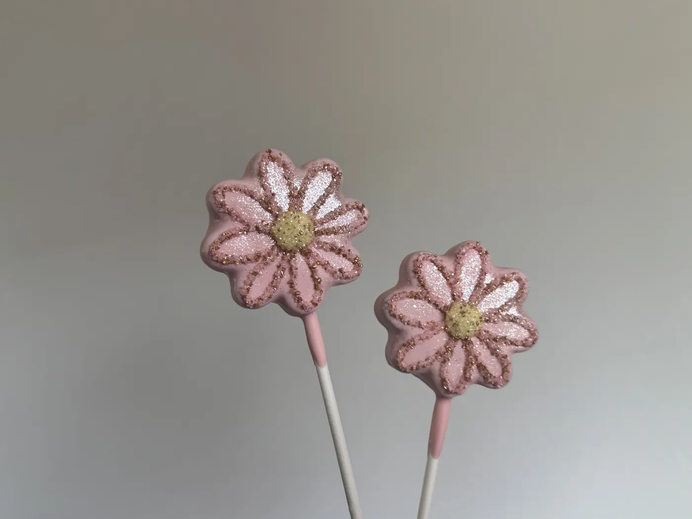 Custom Cake Pop example 123 from The Sweet Spot Cake Pops