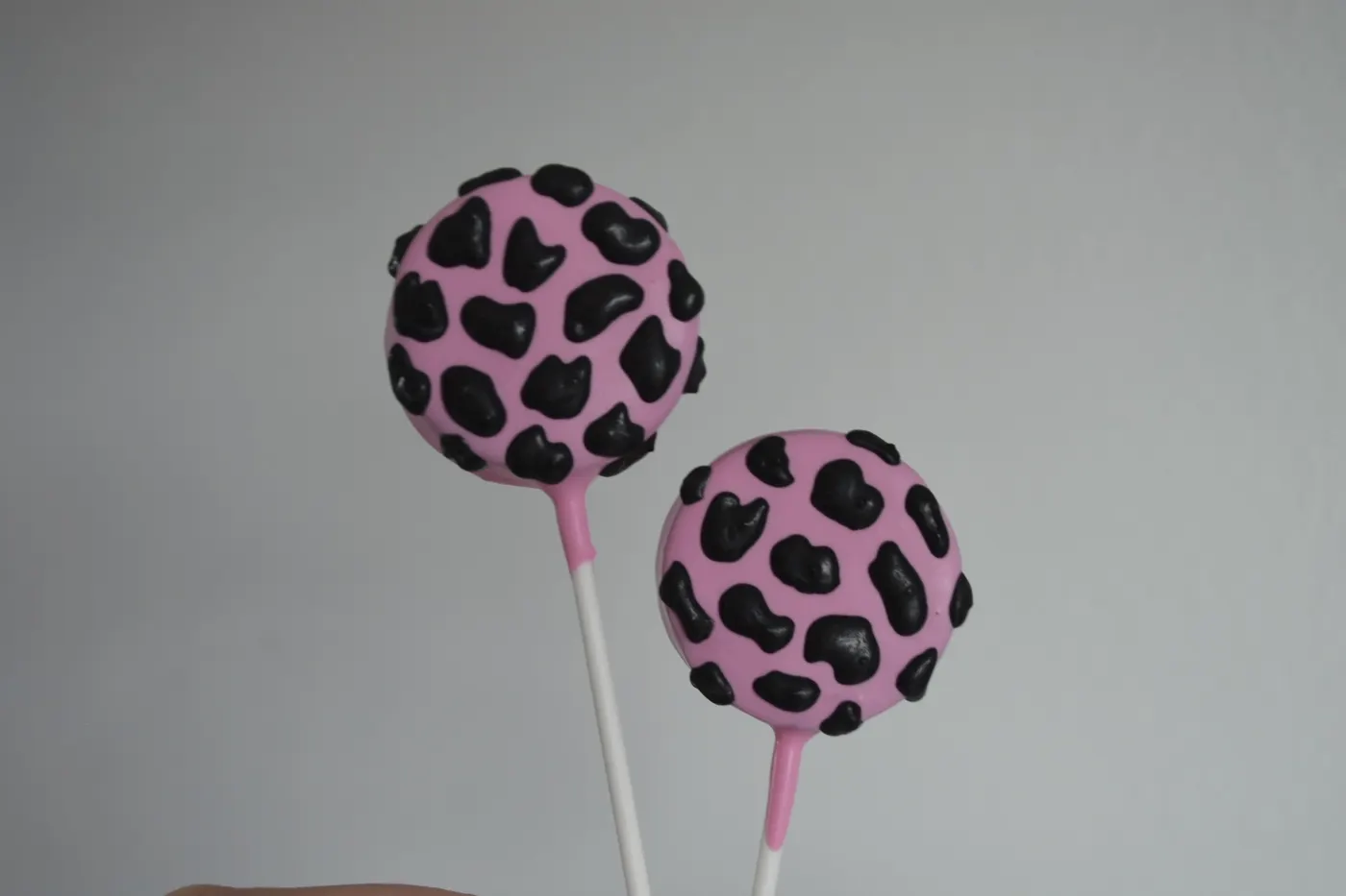 Custom Cake Pop example 149 from The Sweet Spot Cake Pops