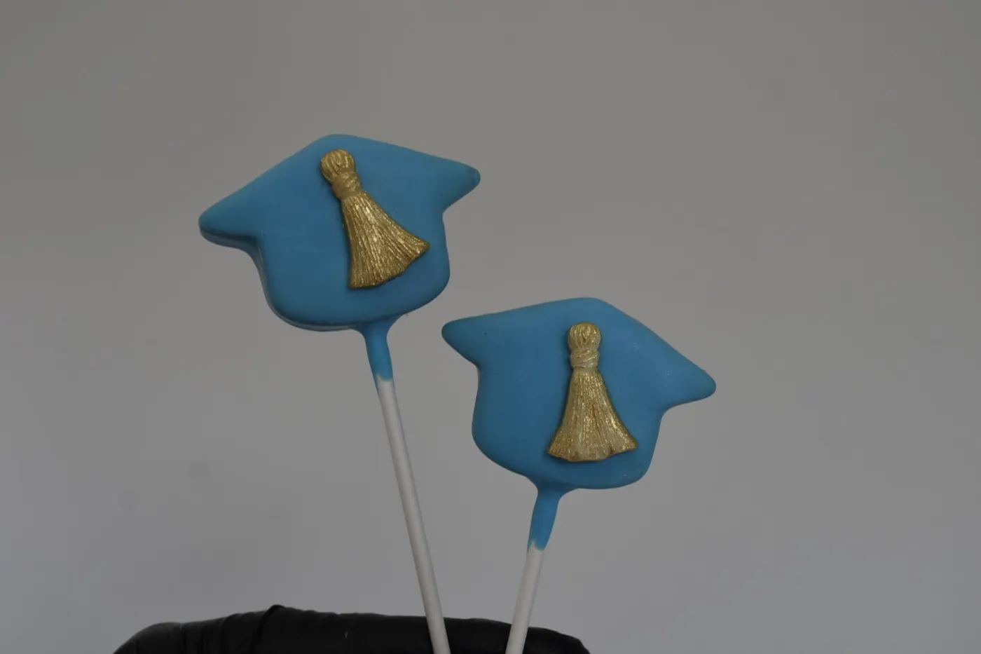 Custom Cake Pop example 150 from The Sweet Spot Cake Pops