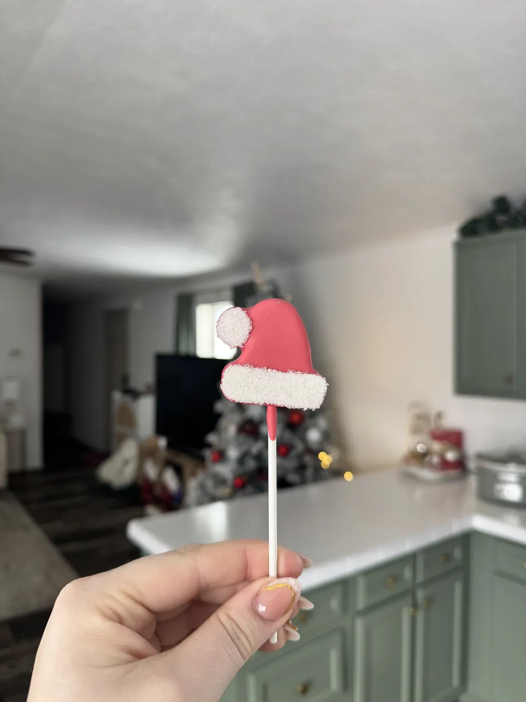 Custom Cake Pop example 160 from The Sweet Spot Cake Pops